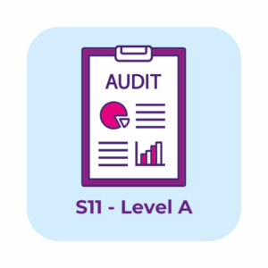 [S11] Audit Training - Level A