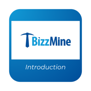 Bizzmine Introduction